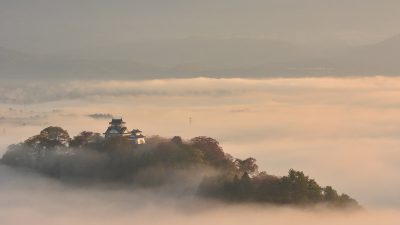 地域活動