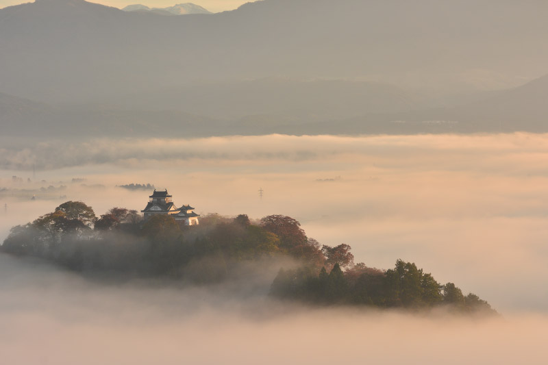 地域活動